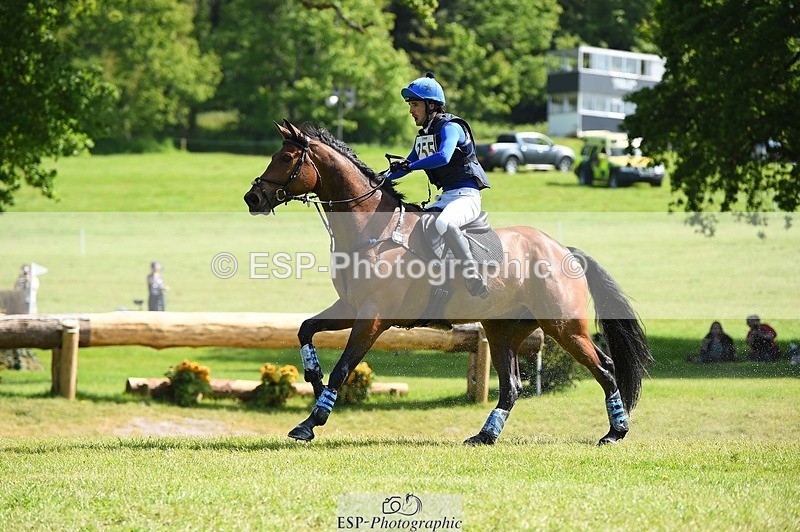 230527-102544-08551 - 255-HI_MR_HENRY-Henry_Hobby-XC