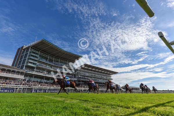 111025-Race 1-Division-1871 - Race 1 Coral Rockingham Stakes at York