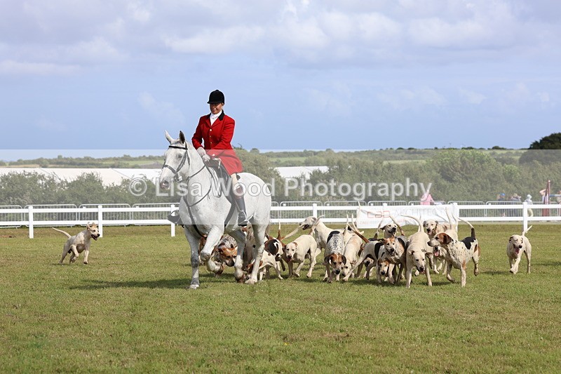 3E7A3369 - Parade of Hounds
