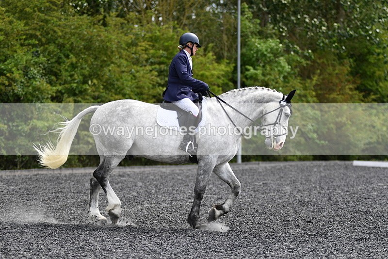 WJ5_1941 - Time 15:05 to 15:30