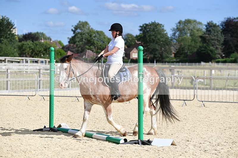 WJ5_5567 - Poles on the Floor