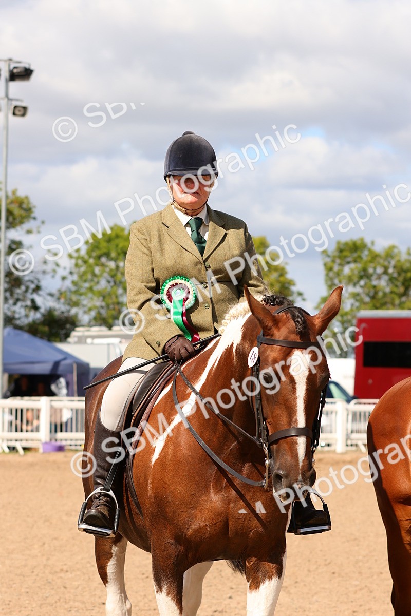 SBM_13237 - Class 211 - Ridden Hunter - Small