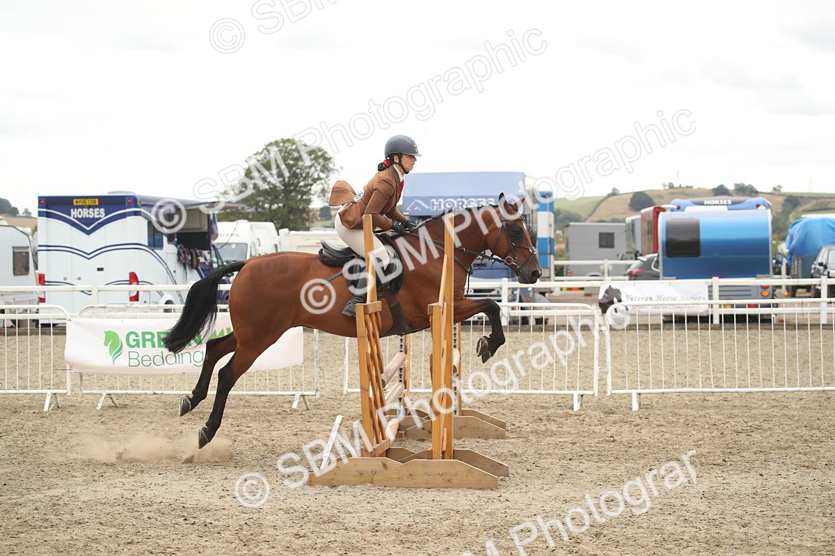 SBM_18395 - Class 509B - Working Veteran - 80cm (20+)