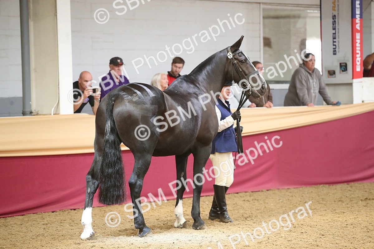 SBM_05306 - Class 8R - Regional IH Veteran