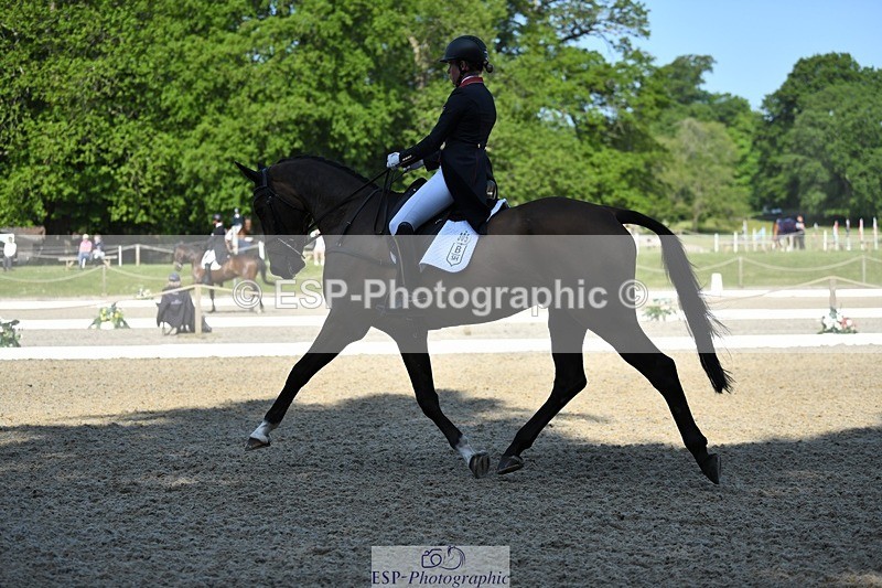 230525-092529-01599 - 305-BARRINGTON_57-Izzy_Taylor-WEDTrotUp+DR