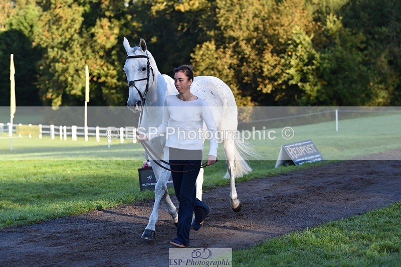 231022-085746-21474 - 646-SKIPTOTHEGOODBIT-Sophia.Mcdonald-TrotUp+SJ