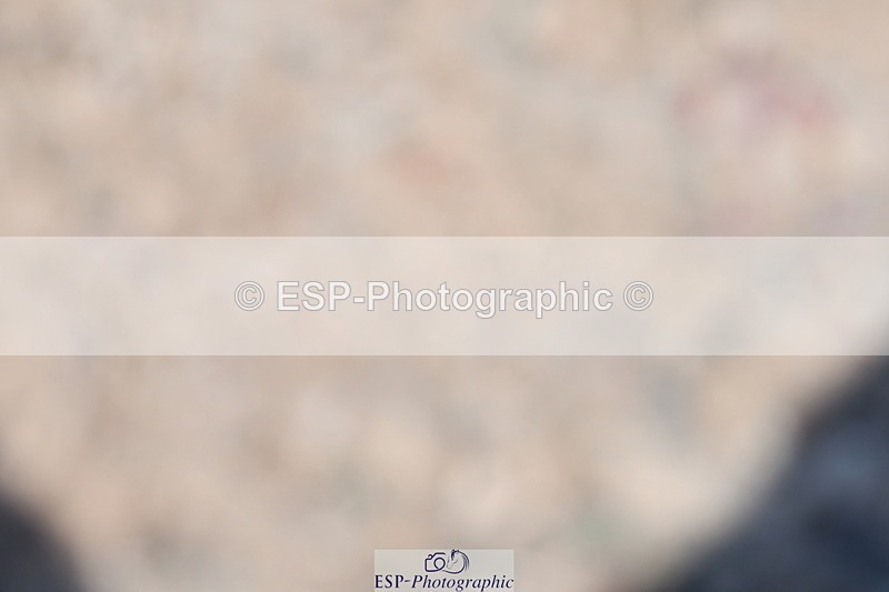 230520A-115026-00695 - Cls 5 Prelim 18