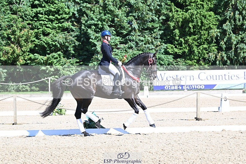 240811-154102-06775 - Inter I Gold