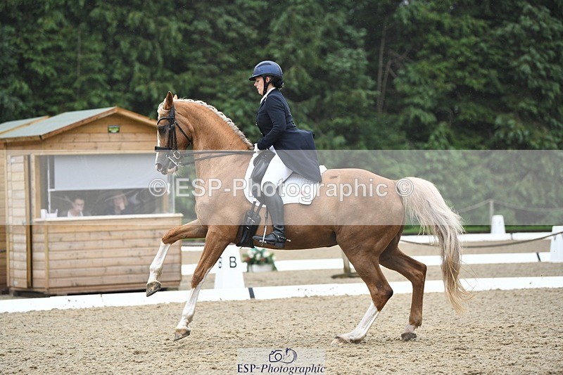 240720-145200-05853 - 187-Clare_Smith-Dori_Dragon_Fly