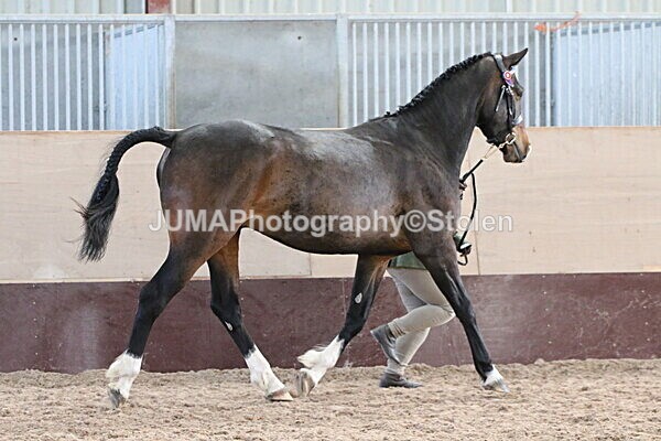 SIAL9919 - Indoor Classes