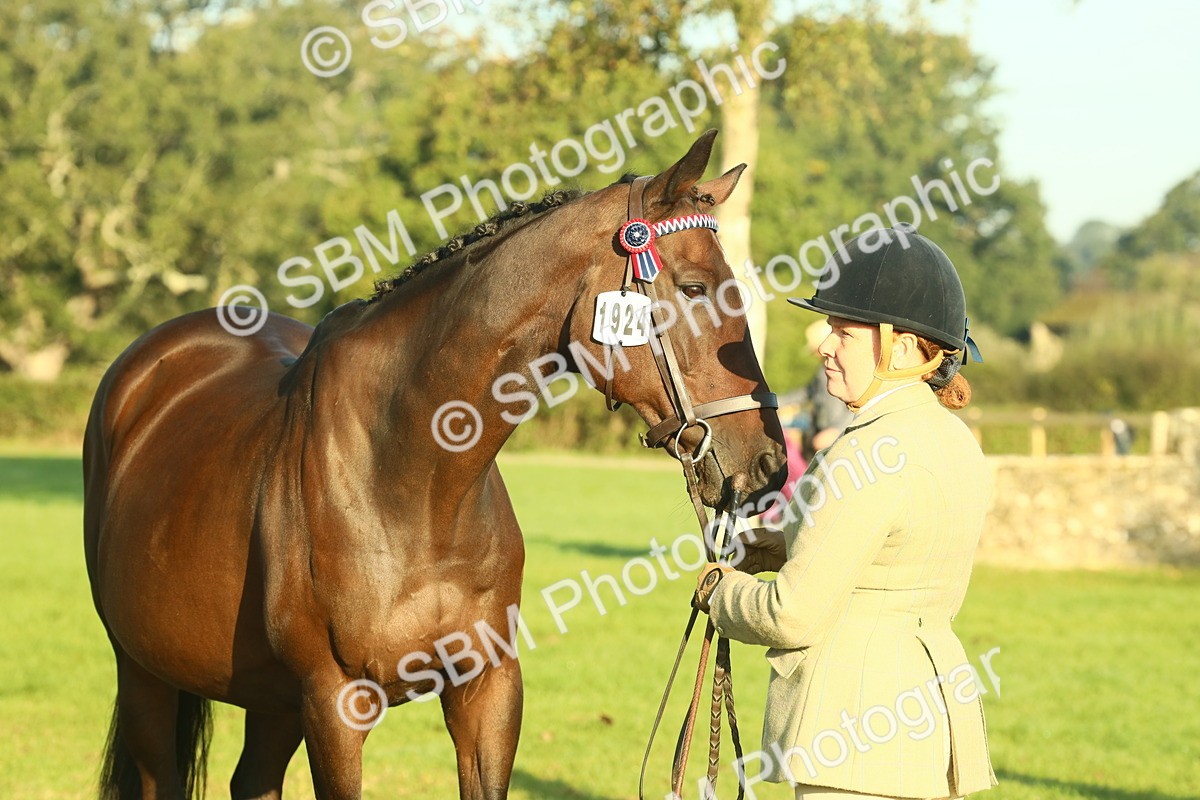 SBM_56721 - S36 - Starters Best Turnout