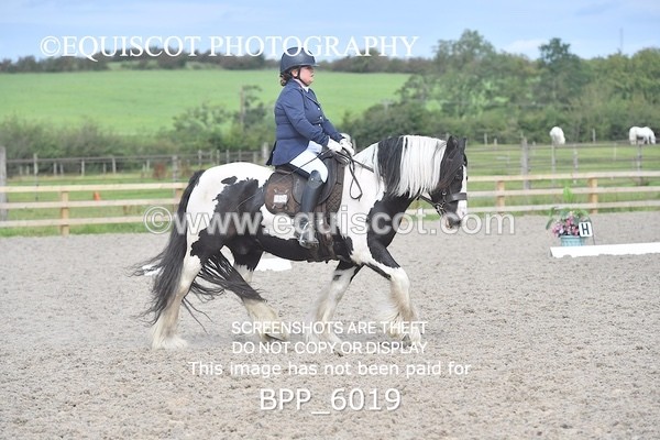 BPP_6019 - PRELIM TEST 5 LONG ARENA