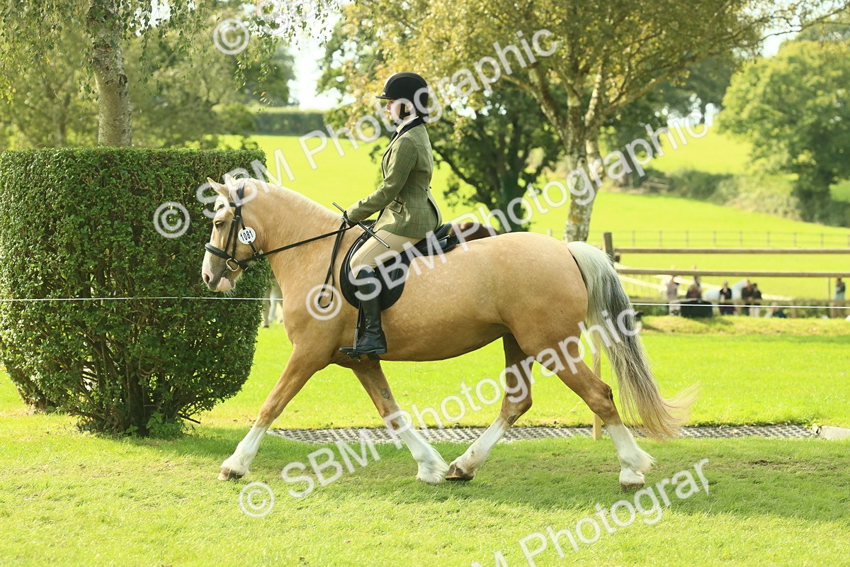 SBM_62650 - S63 - Other Coloured Horse Ridden