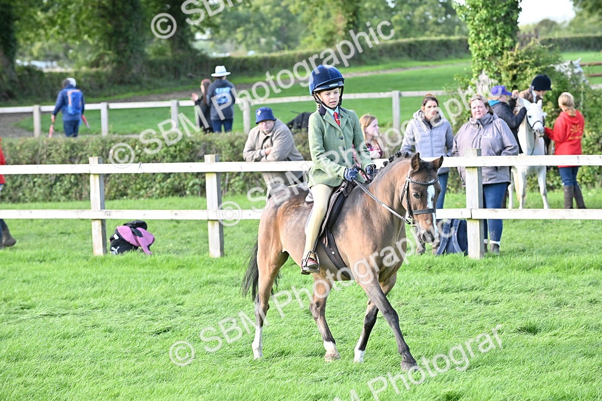 SBM_51241 - S22 - First Ridden show and show Hunter Pony