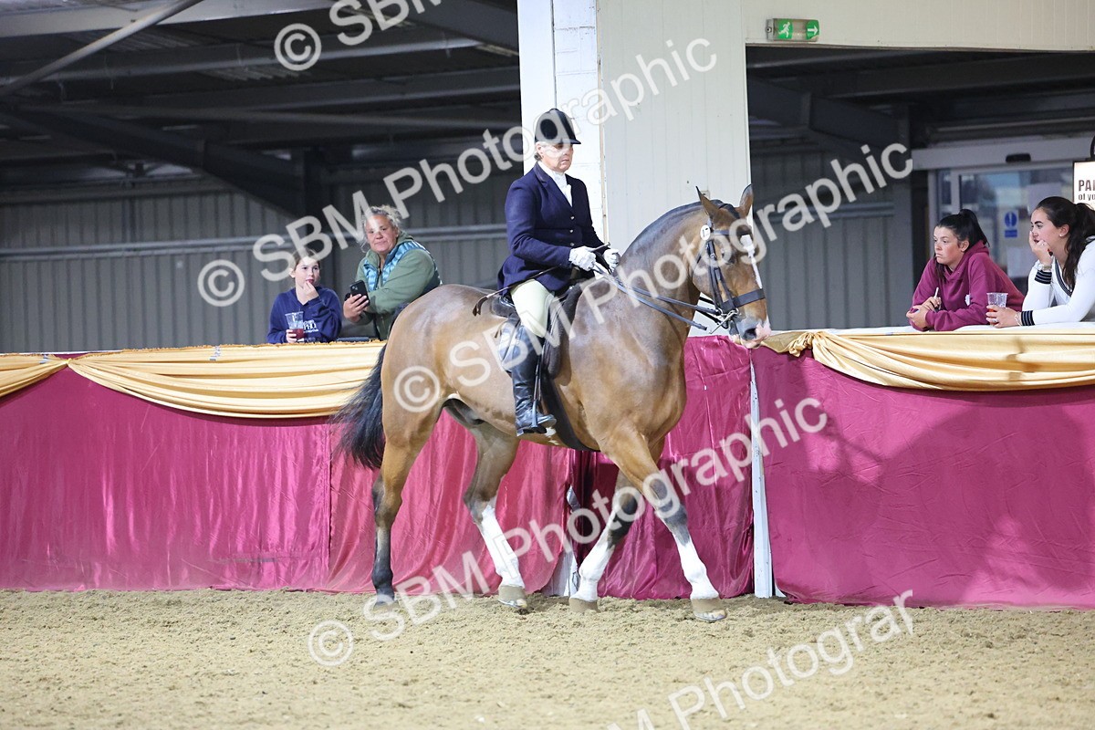 0B8A4481 - Class O Ridden Show Horse Champ