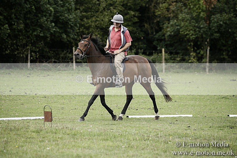 BVR080918 28 - BVRC Novice Dressage & CR 08/09/18