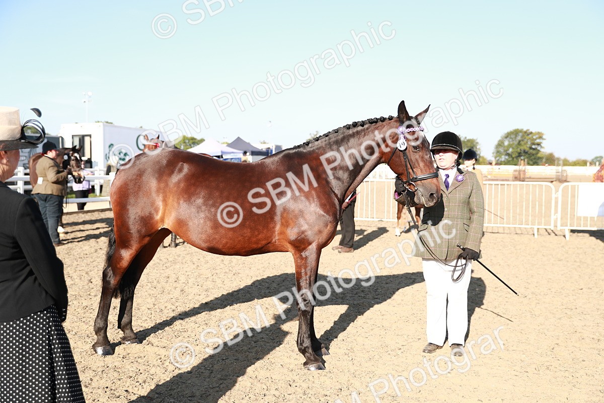 SBM_00071 - Class 40 Best Turned Out IH