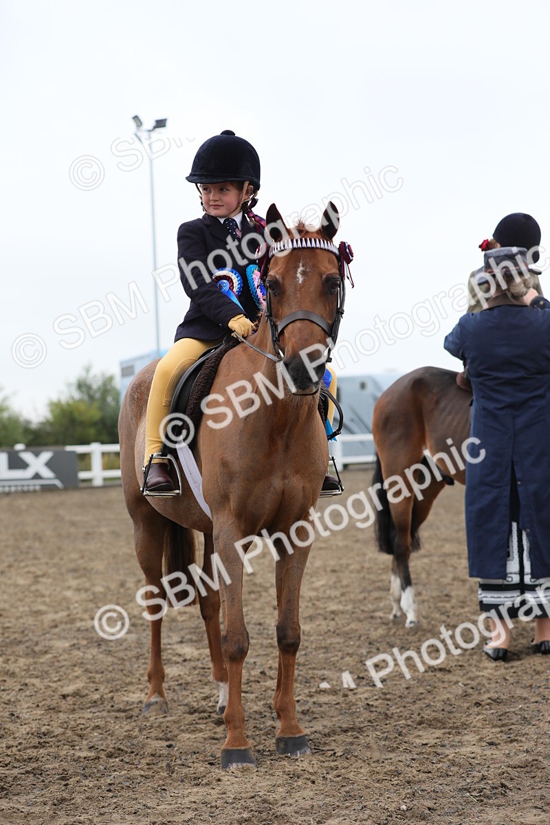 SBM_21886 - Class 806 - Young ridder 10 Yr & Under