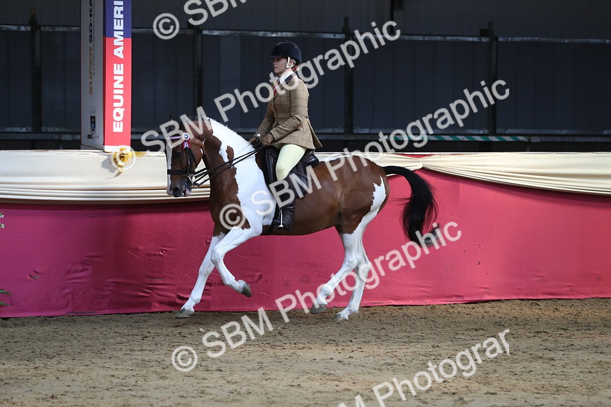 SBM_08352 - Class 11R Regional Ridden Veteran