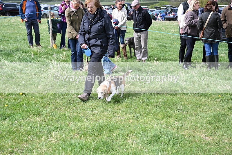 WJ6_8319 - Class 4 Prettiest Bitch