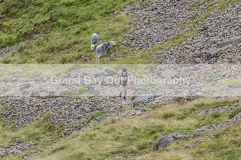 Borrowdale-9 - Borrowdale Fell Race Saturday 3rd August 2024