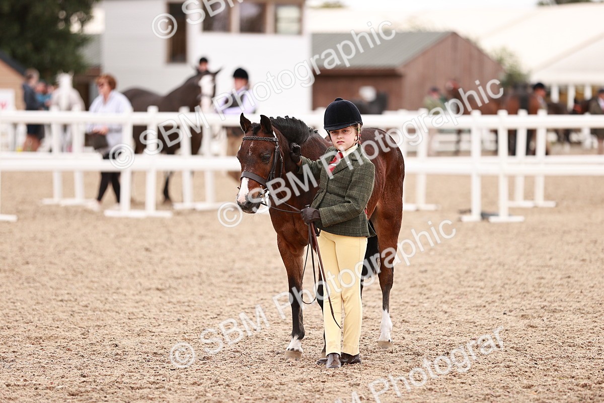 SBM_18589 - Class 421 - Childs Best Friend - Jnr