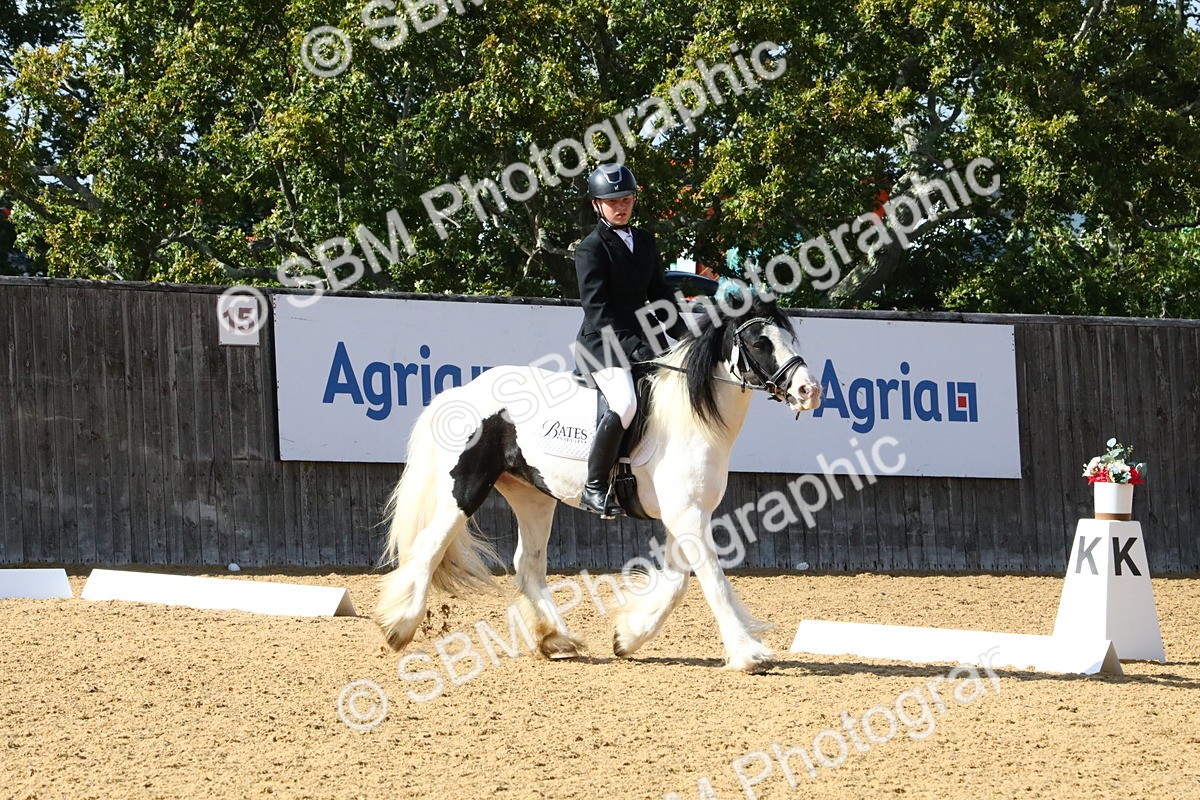 SBM_24442 - D5 - Small Tour Championshop Intro 2