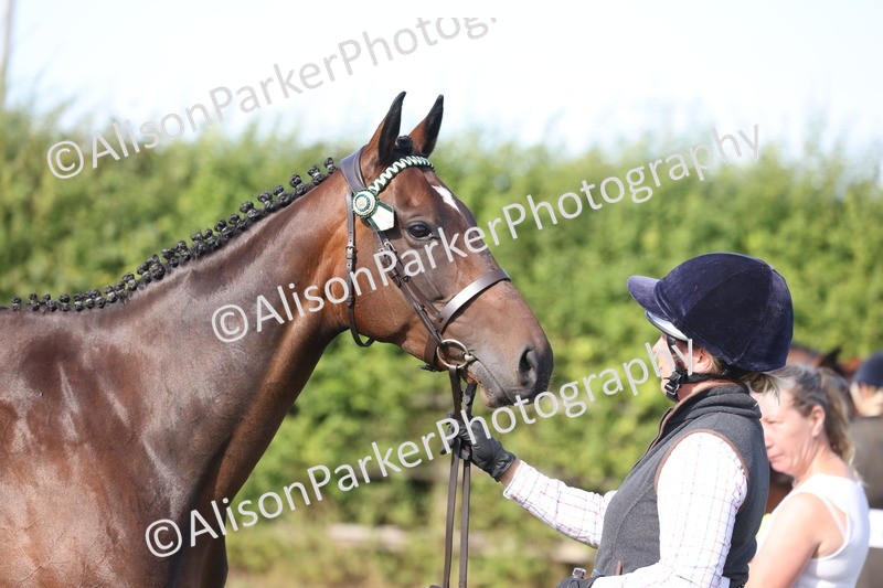 20260906-0678 - Class 22 - Ex Racehorse