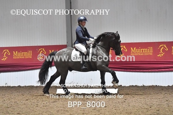 BPP_8000 - ELEM TEST 6