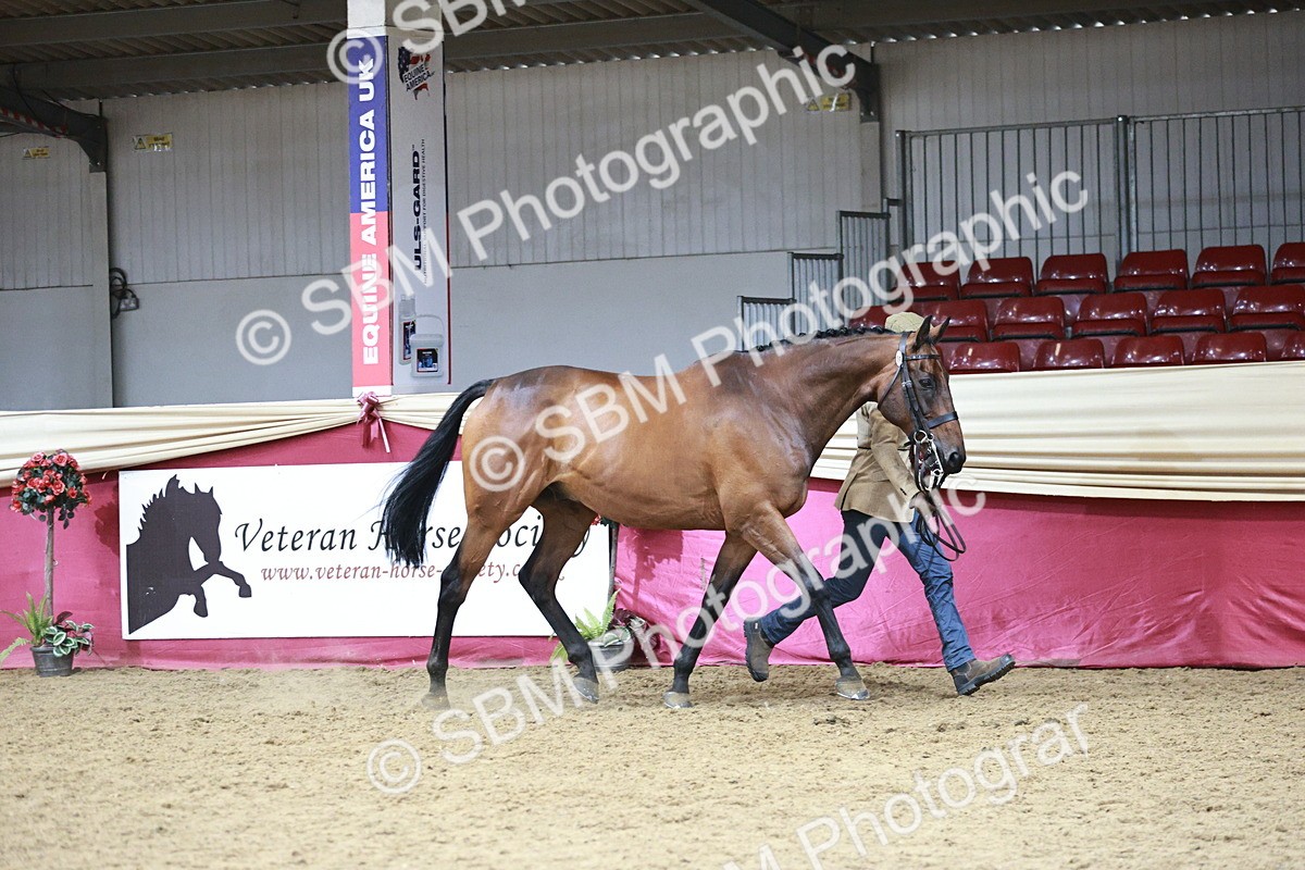 SBM_06630 - Regional - IH Champs