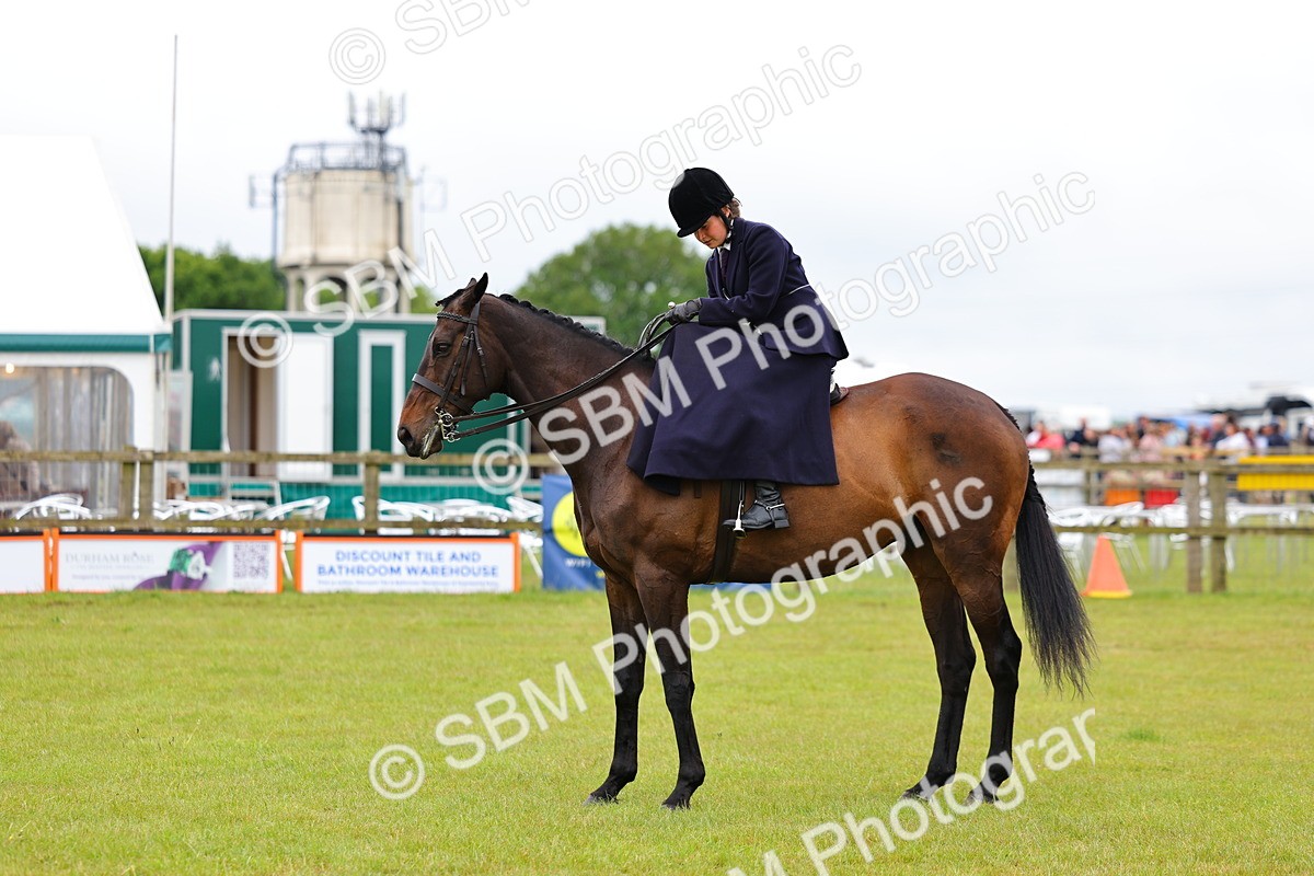 SBM_02833 - Class 9-11 Side Saddle including LIHS Rising Star Ladies Show Horse