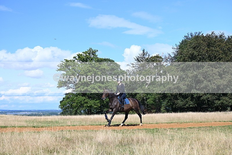 DSC_0092 - Time at Statue 15:58 to 16:05
