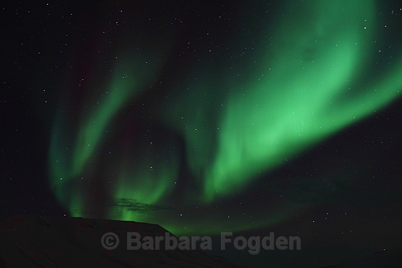 Northern Light in Adventdalen 5393 - Polar night