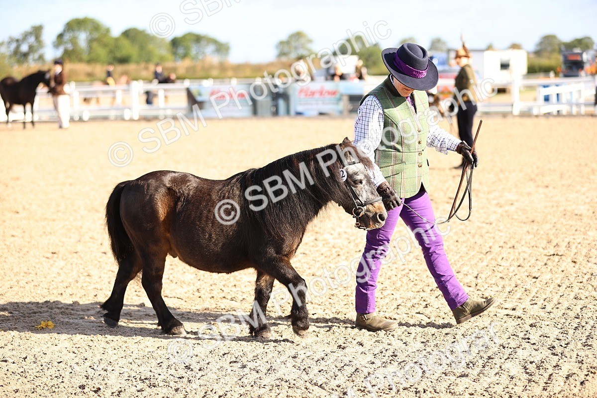 SBM_08512 - Class 402 - IH Veteran Pony