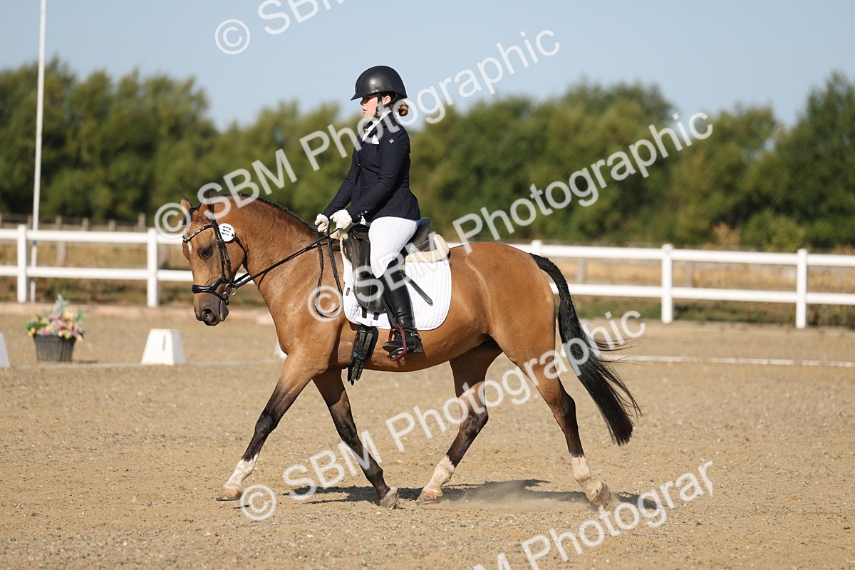 SBM_012615 - Class 1 - P5 Bronze 9.00.10.12