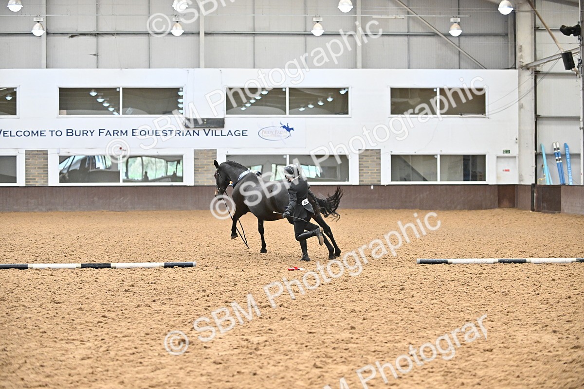 SBM_000811 - Class 16 - In Hand Showing Supreme Championships