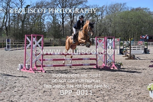 BPP_0011 - CLASS 19 SUN Senior British Novice/ 90cm Open