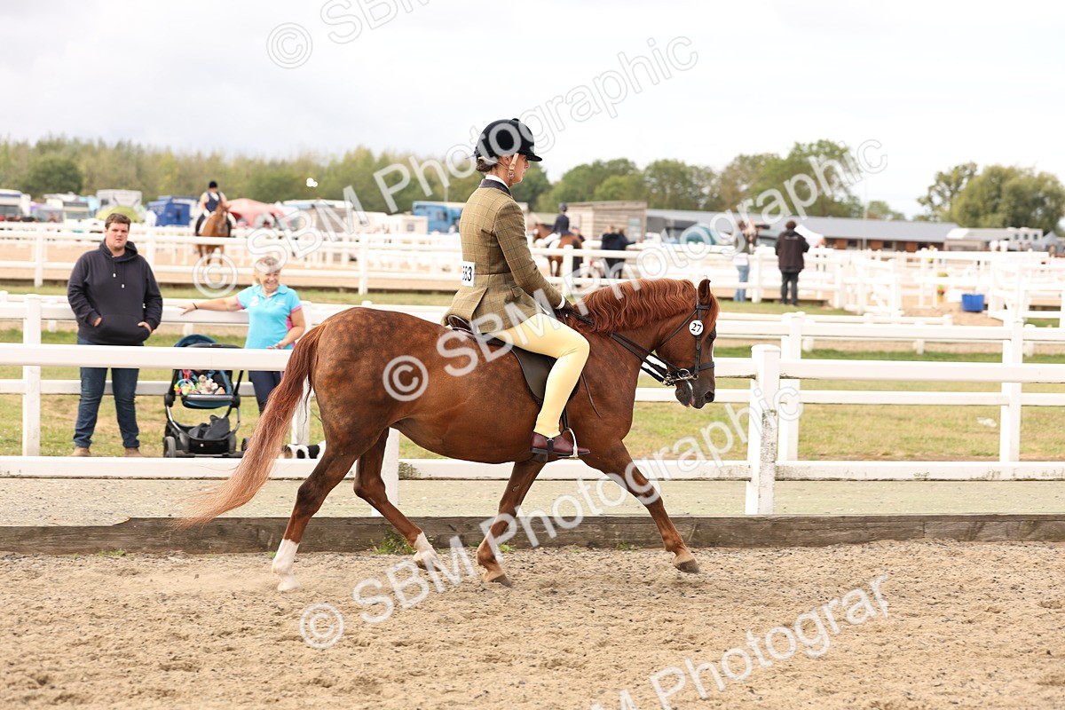 SBM_01597 - Class 52 - Ridden Veteran