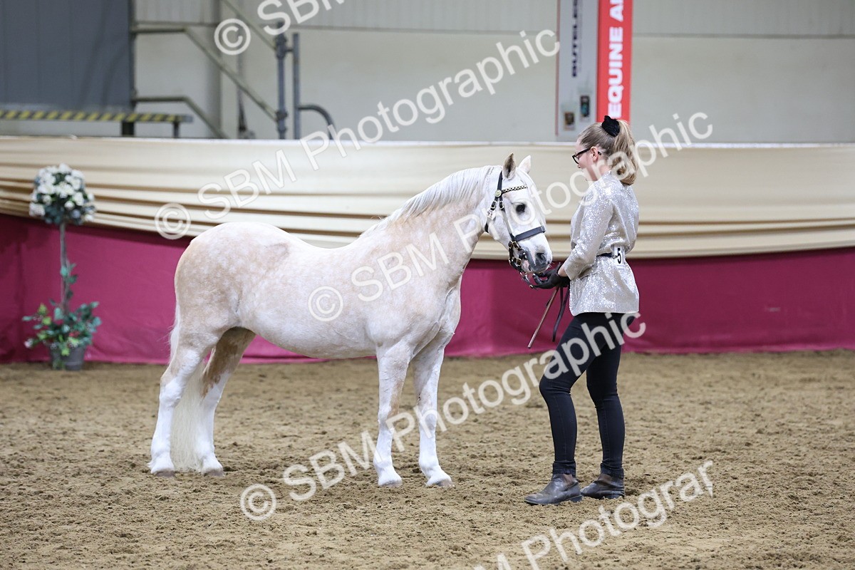 SBM_20455 - Class F - IH Small (148cm & Under)Champ