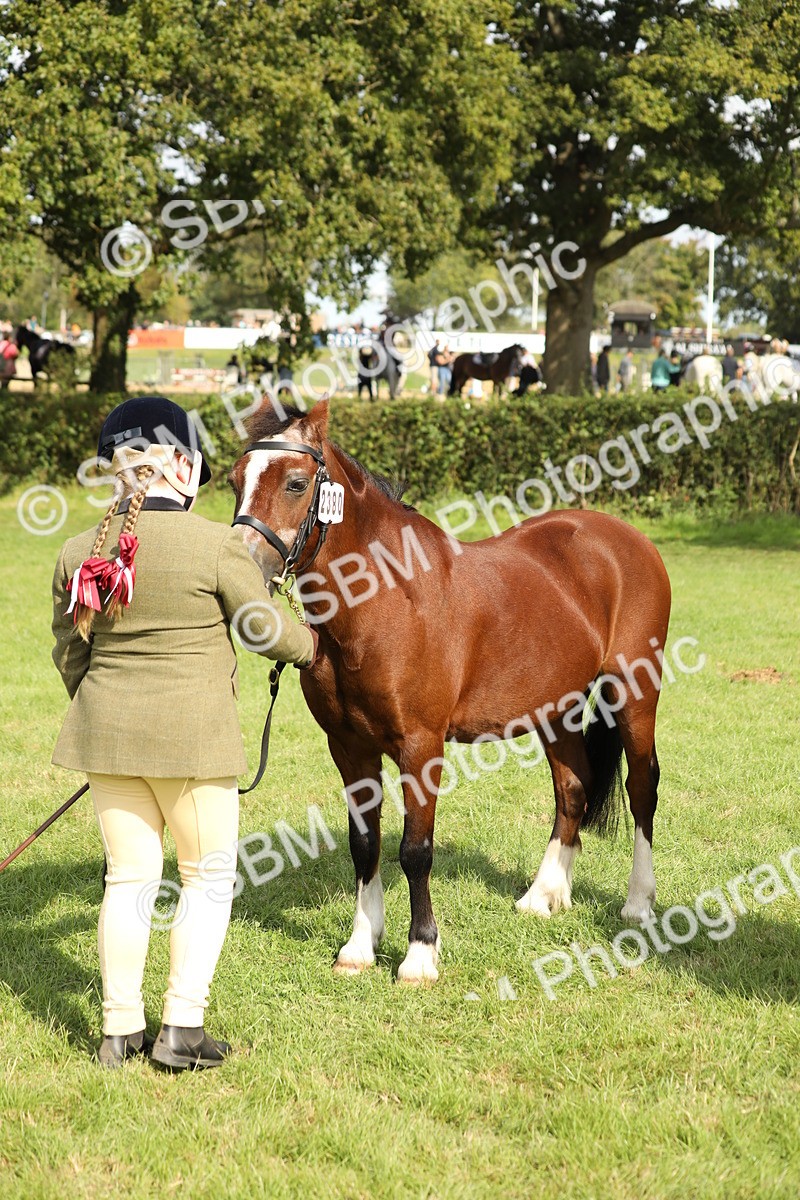 SBM_68606 - S40 - Junior Handler 9-12 Years