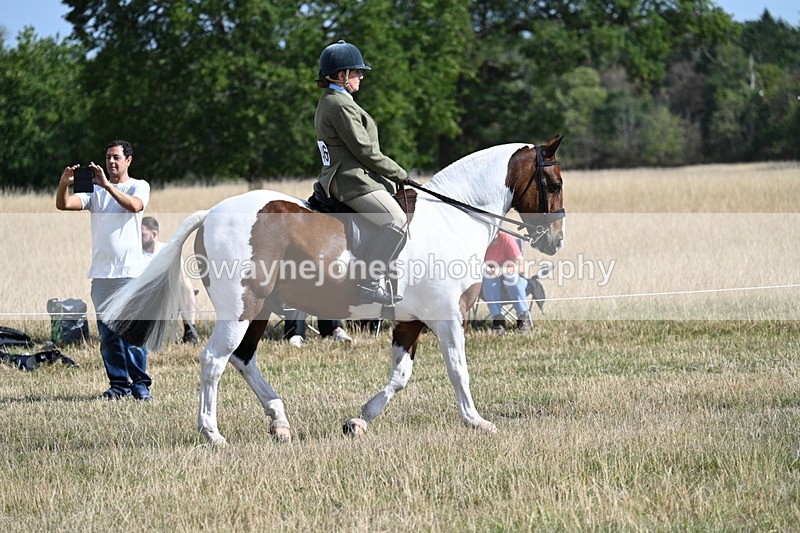WJ7_2692 - Class 8 Ridden Tack & Turnout