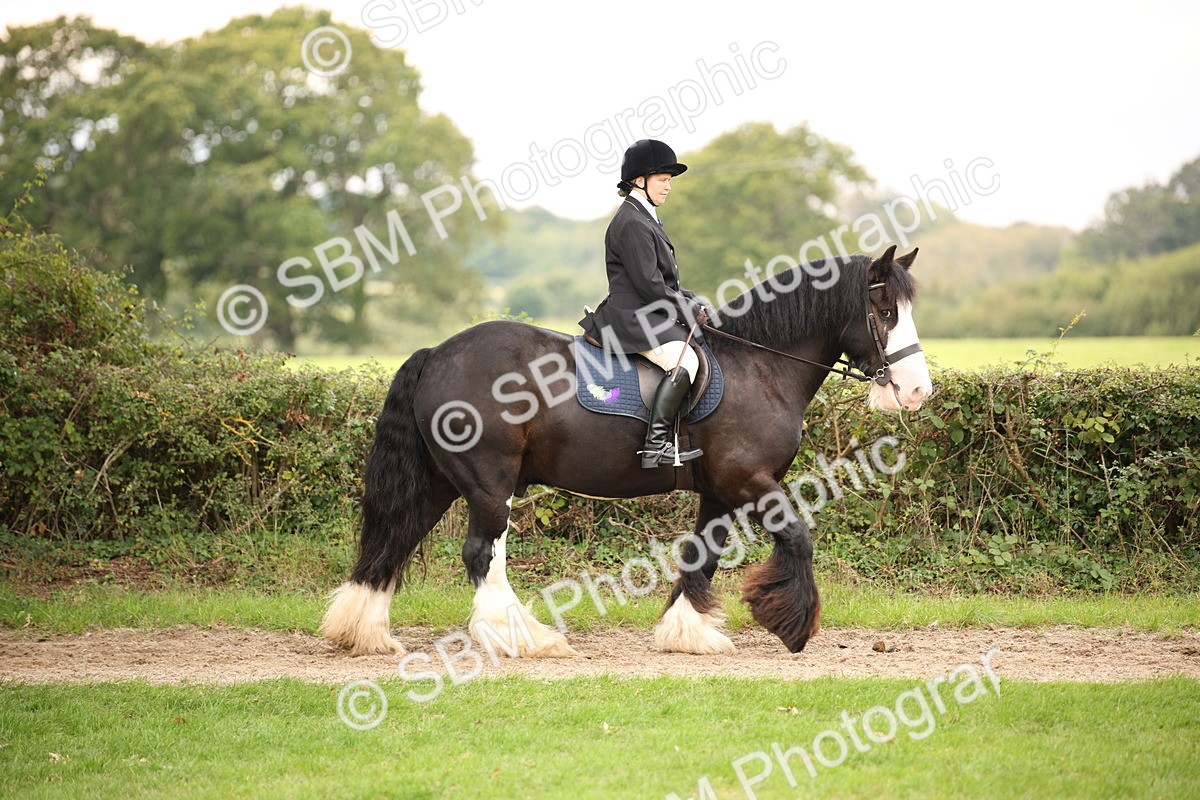 SBM_73415 - S68 - Traditional Cob Ridden