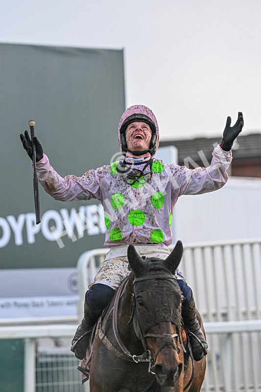 130326-Race 5-Gaelic Warrior-2701 - 13th March