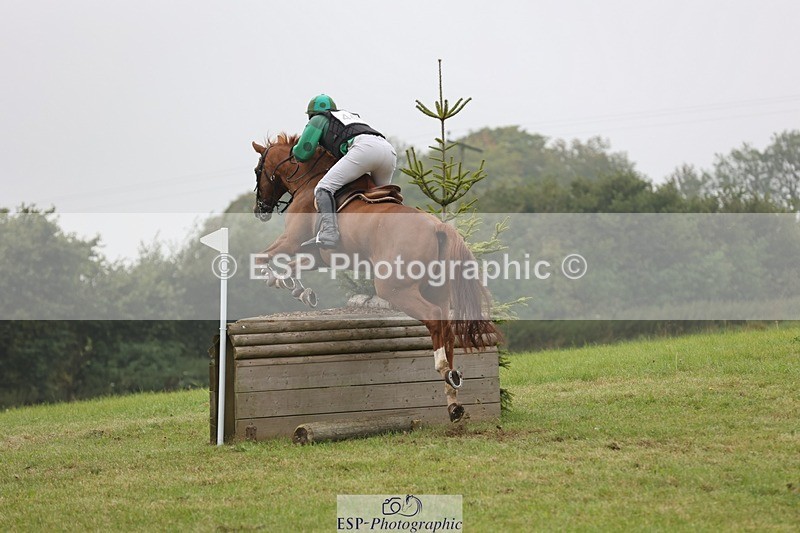 240901A-121213-07352 - 460-Harry.Rowcliffe-22.CARROT.GOLD