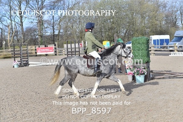 BPP_8597 - TRAINING STAKES