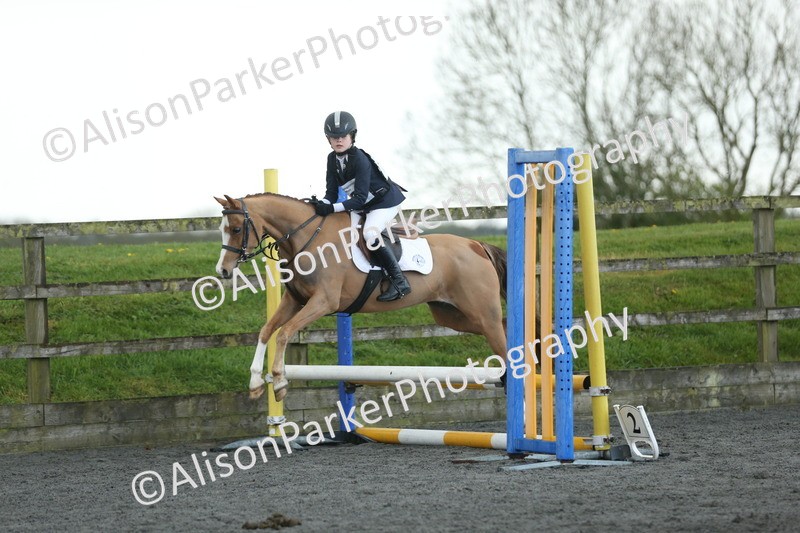 20260412-1918 - Show Jumping