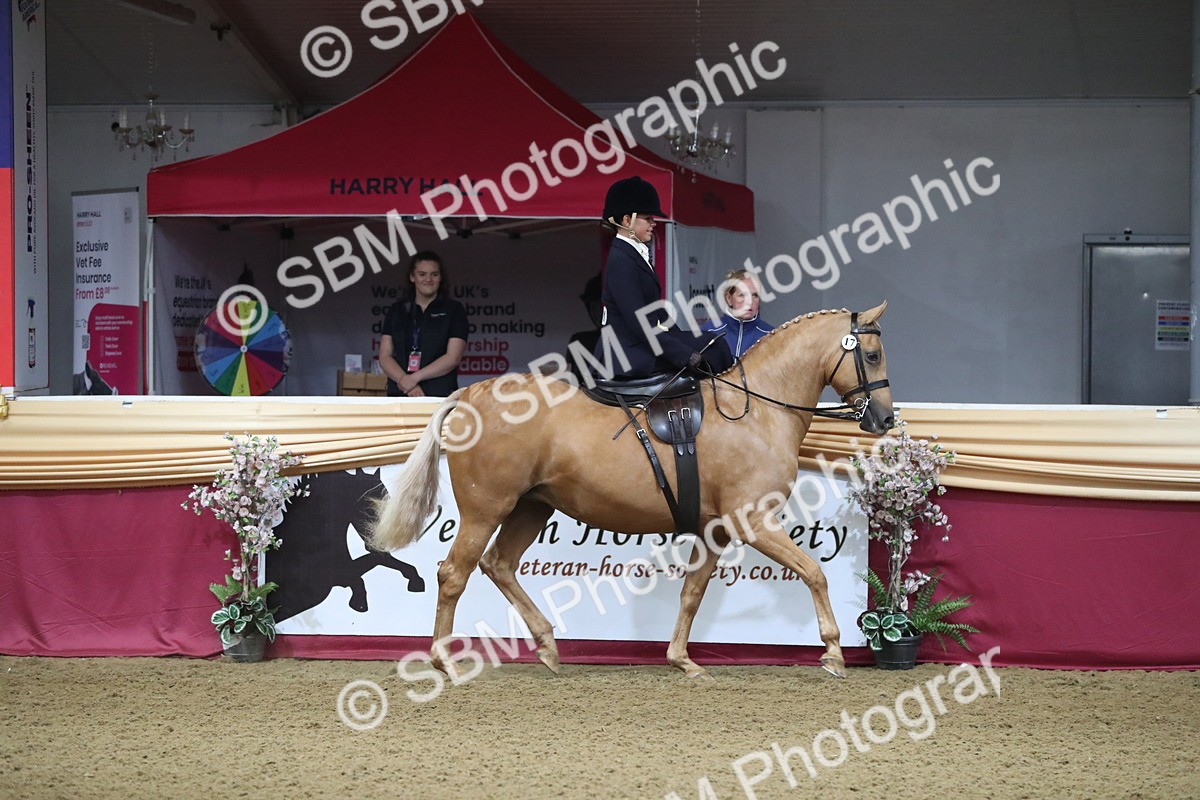SBM_09247 - Class 101 Equitation (best rider), Junior