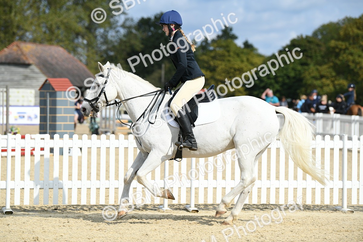 SBM_61833 - j25 - Junior Horse 80cm Championship