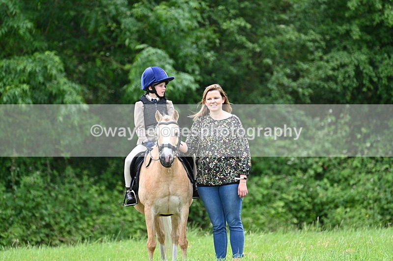 WJ7_4148 - Class 14A Handsome Gelding