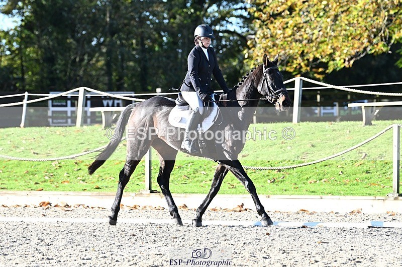 231110-101033-00012 - Cls 2 Prelim 17(a)Q